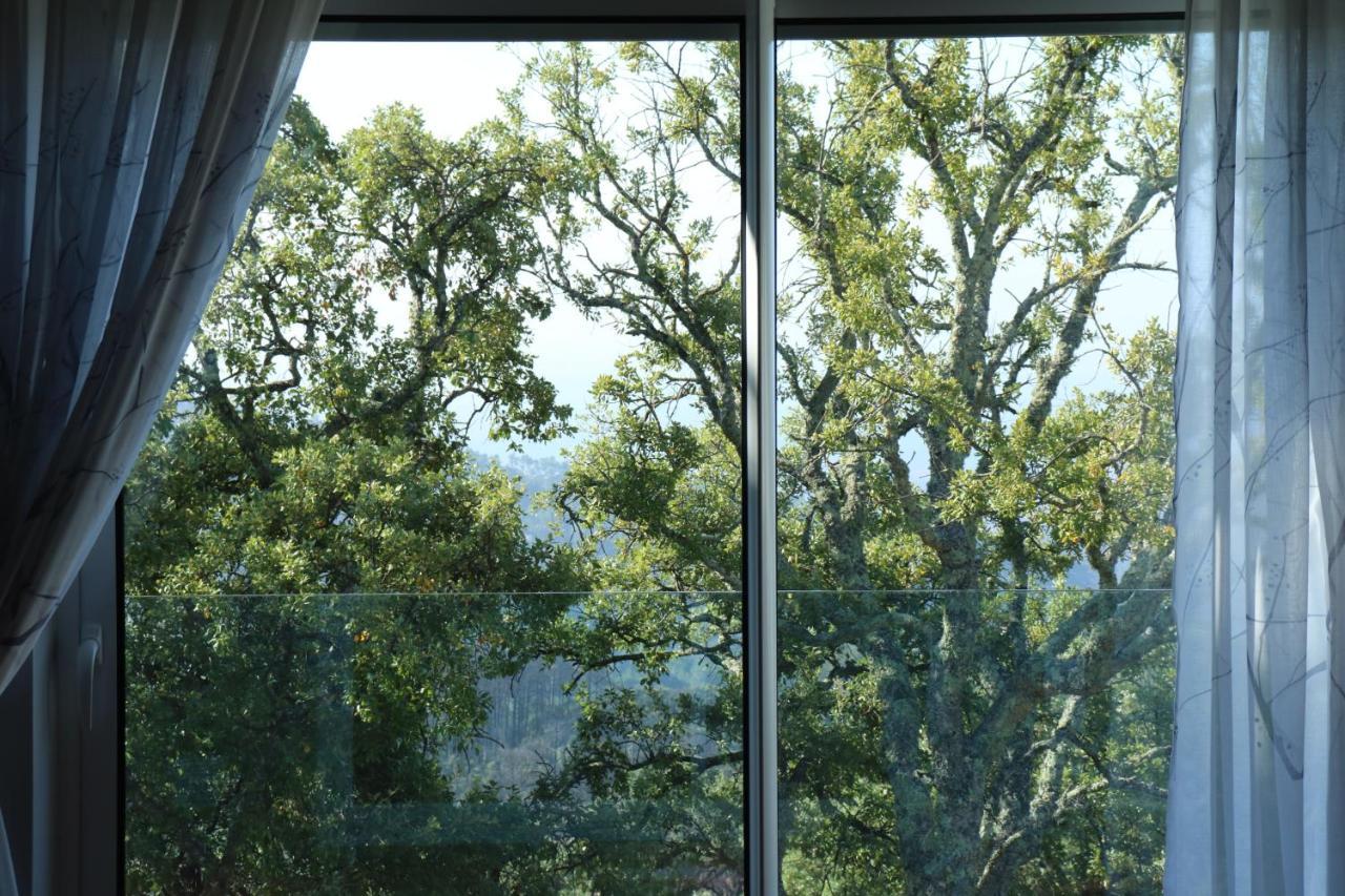 Vilafoia Monchique Buitenkant foto